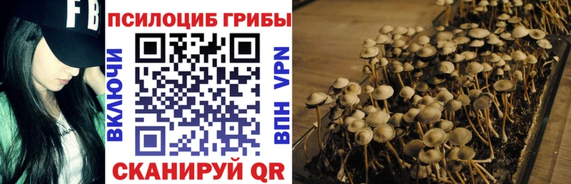 Псилоцибиновые грибы мухоморы  как найти закладки  Полевской 