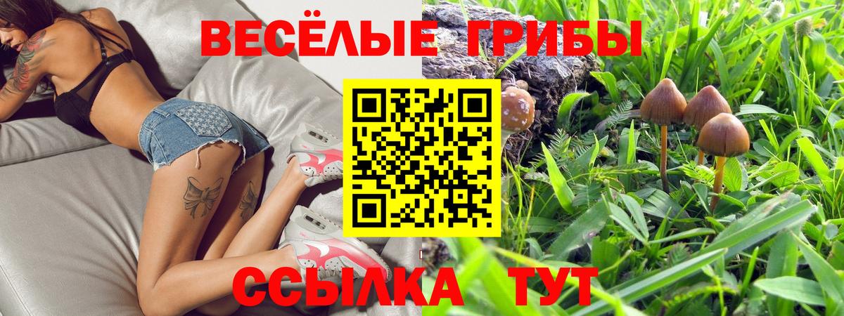 Псилоцибиновые грибы Psilocybine cubensis Полевской